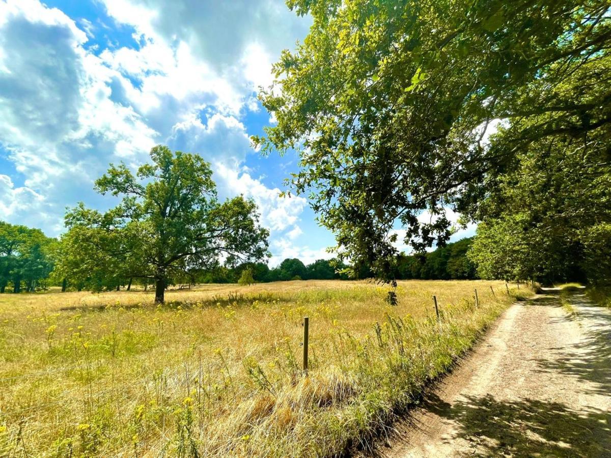 Buitenlust In Het Bos Zuidlaren Exterior foto